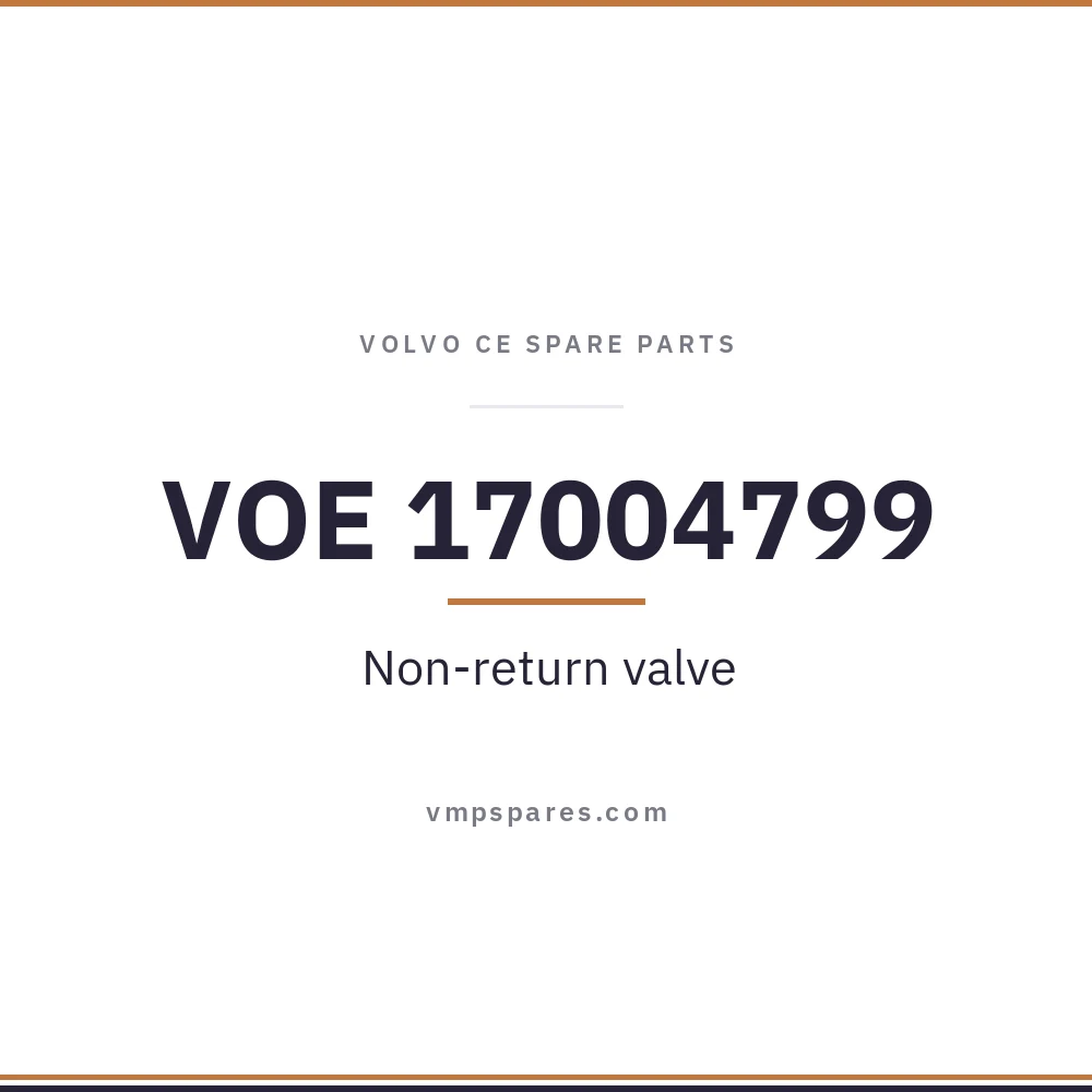 VOE 17004799 – Non-return valve