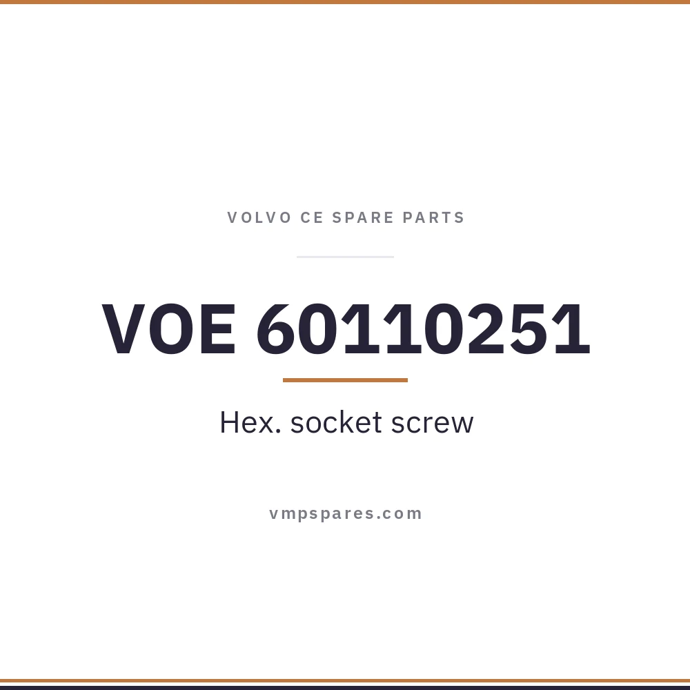 VOE 60110251 – Hex. socket screw