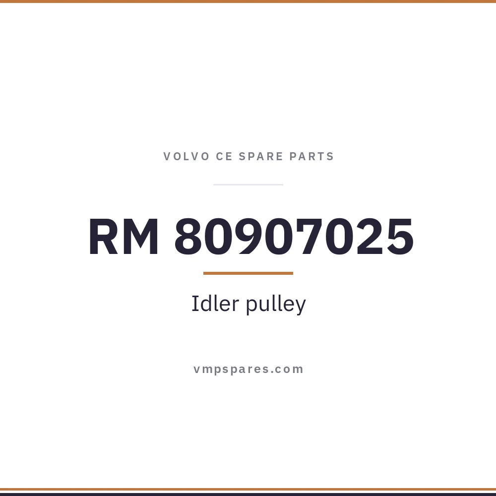 RM 80907025 – Idler pulley