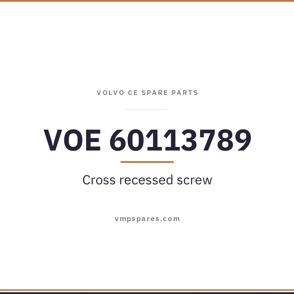 VOE 60113789 – Cross recessed screw