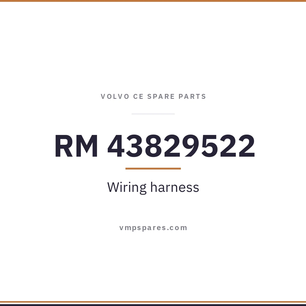 RM 43829522 – Wiring harness