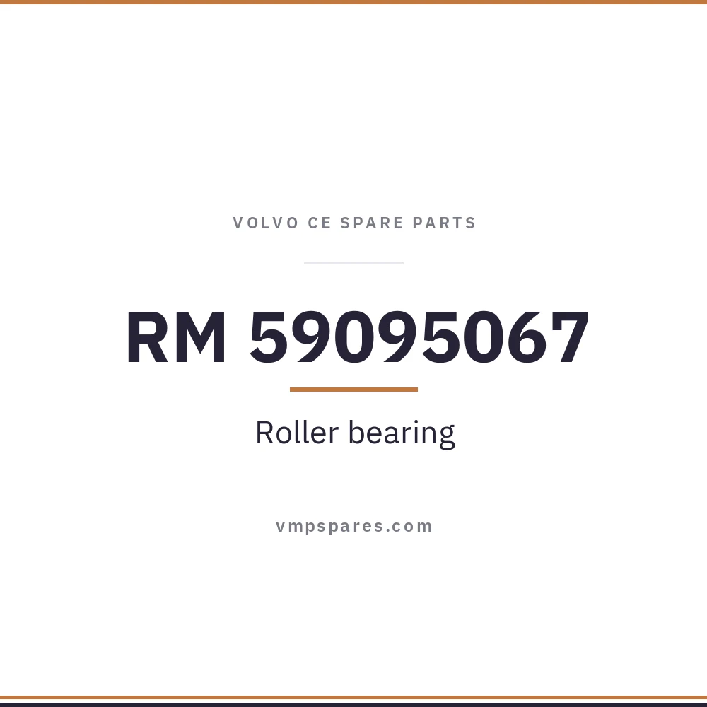 RM 59095067 – Roller bearing