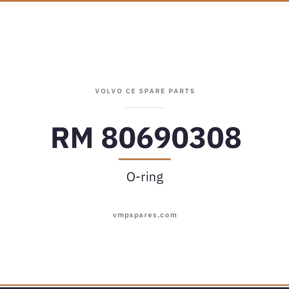 RM 80690308 – O-ring