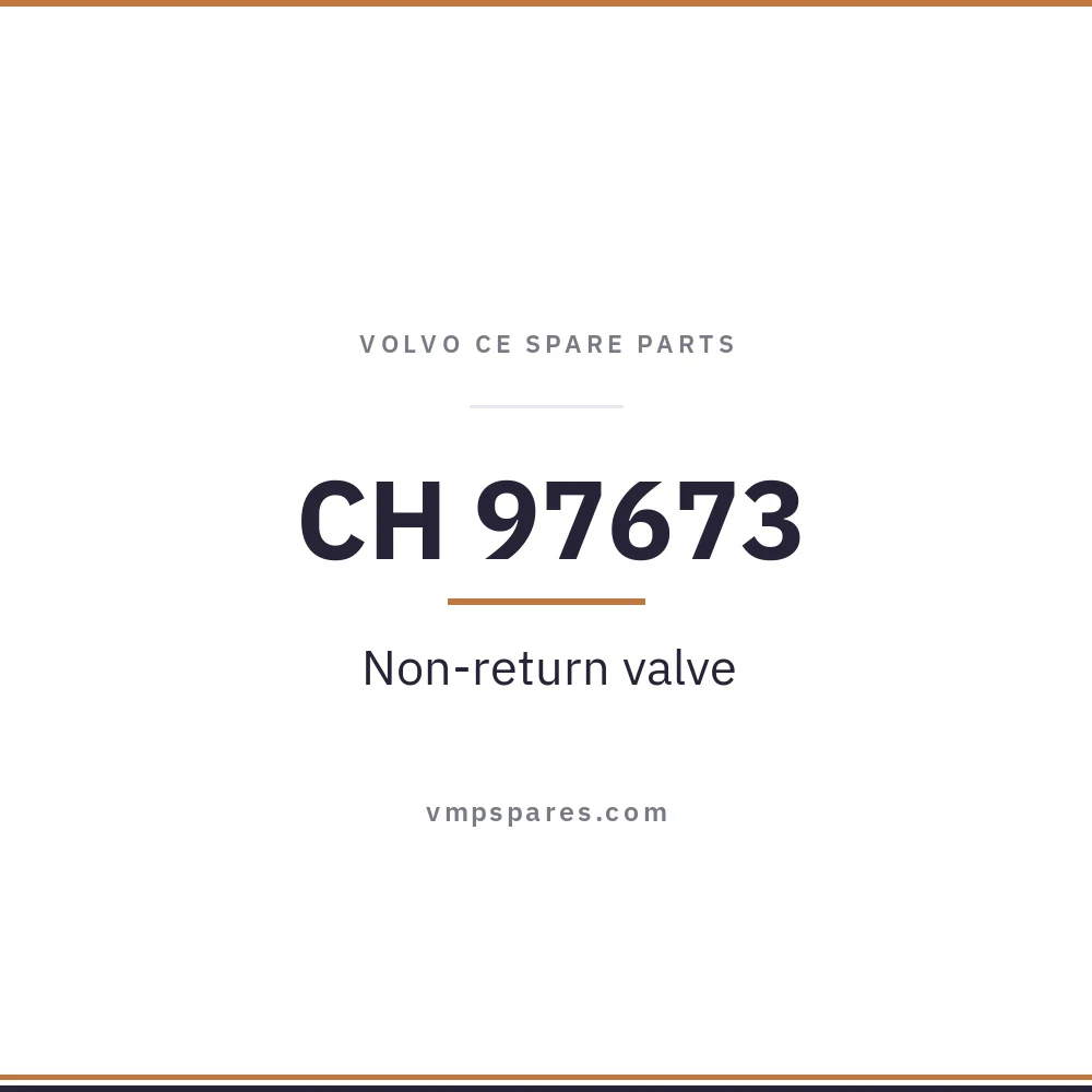CH 97673 – Non-return valve