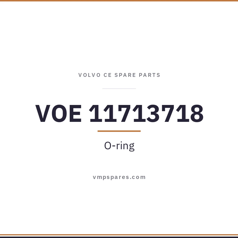 VOE 11713718 – O-ring