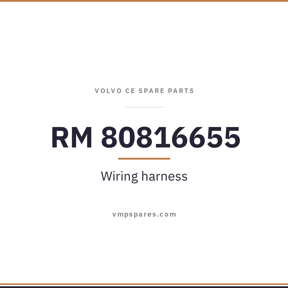 RM 80816655 – Wiring harness