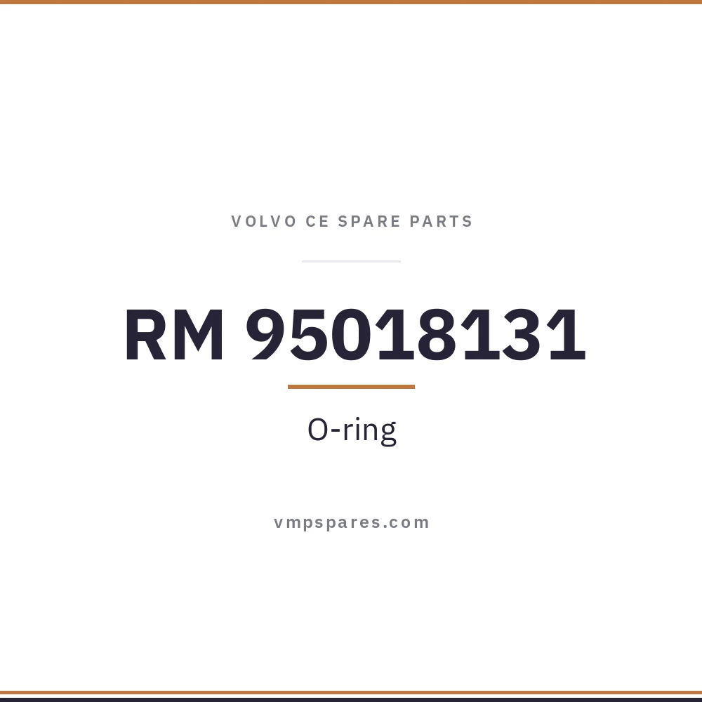 RM 95018131 – O-ring