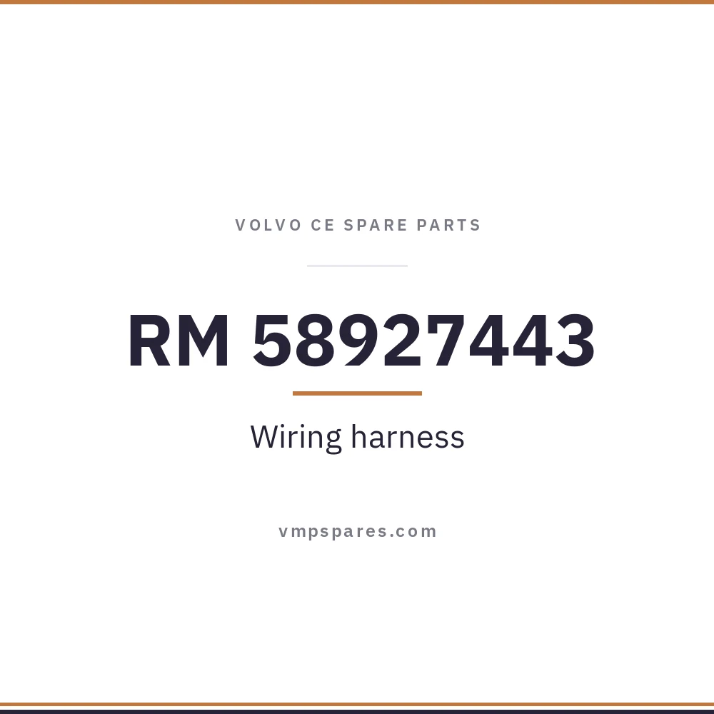 RM 58927443 – Wiring harness