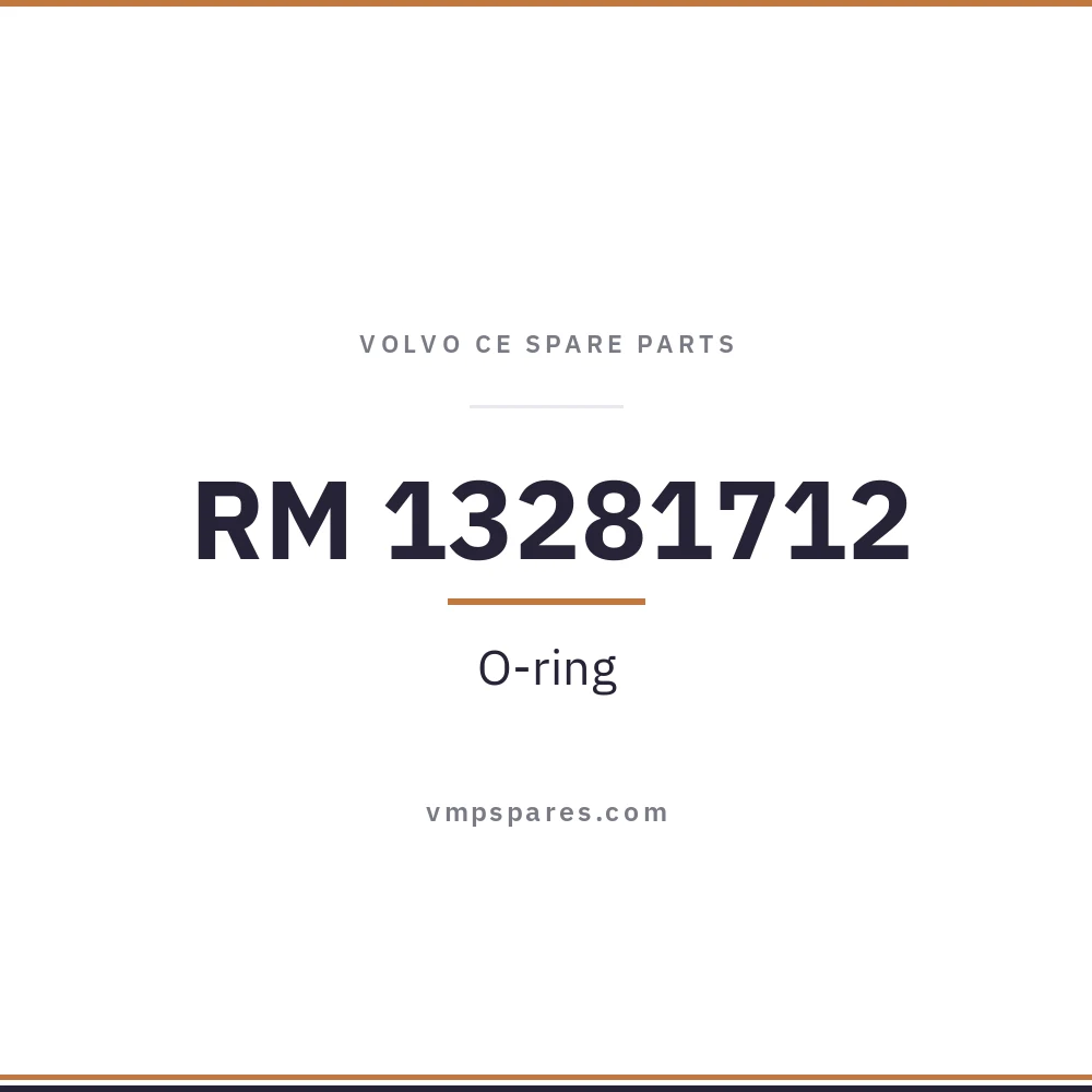 RM 13281712 – O-ring