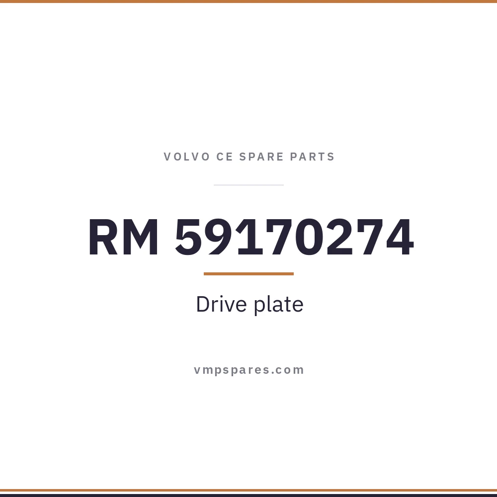 RM 59170274 – Drive plate