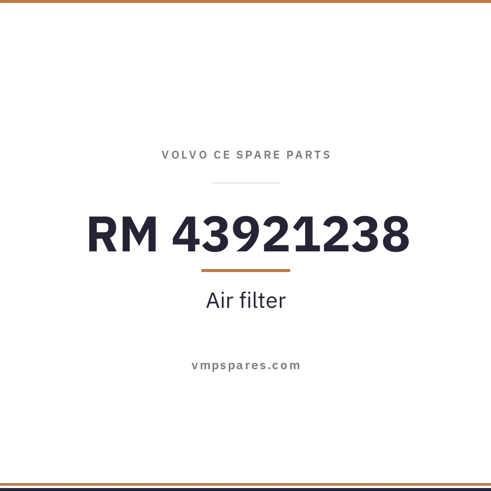 RM 43921238 – Air filter