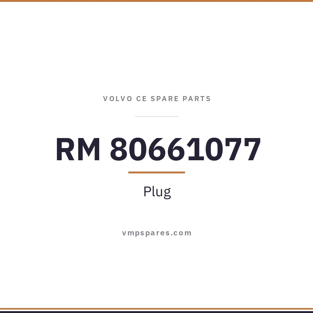 RM 80661077 – Plug
