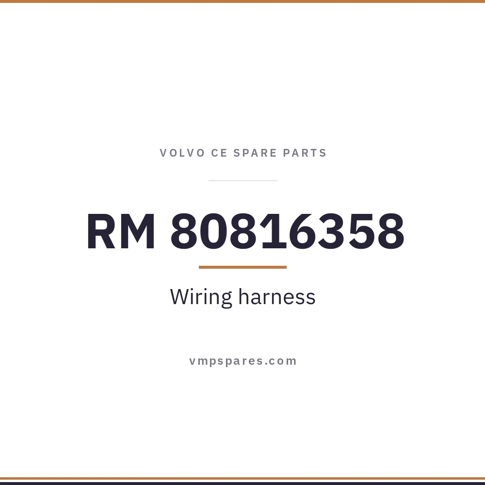 RM 80816358 – Wiring harness