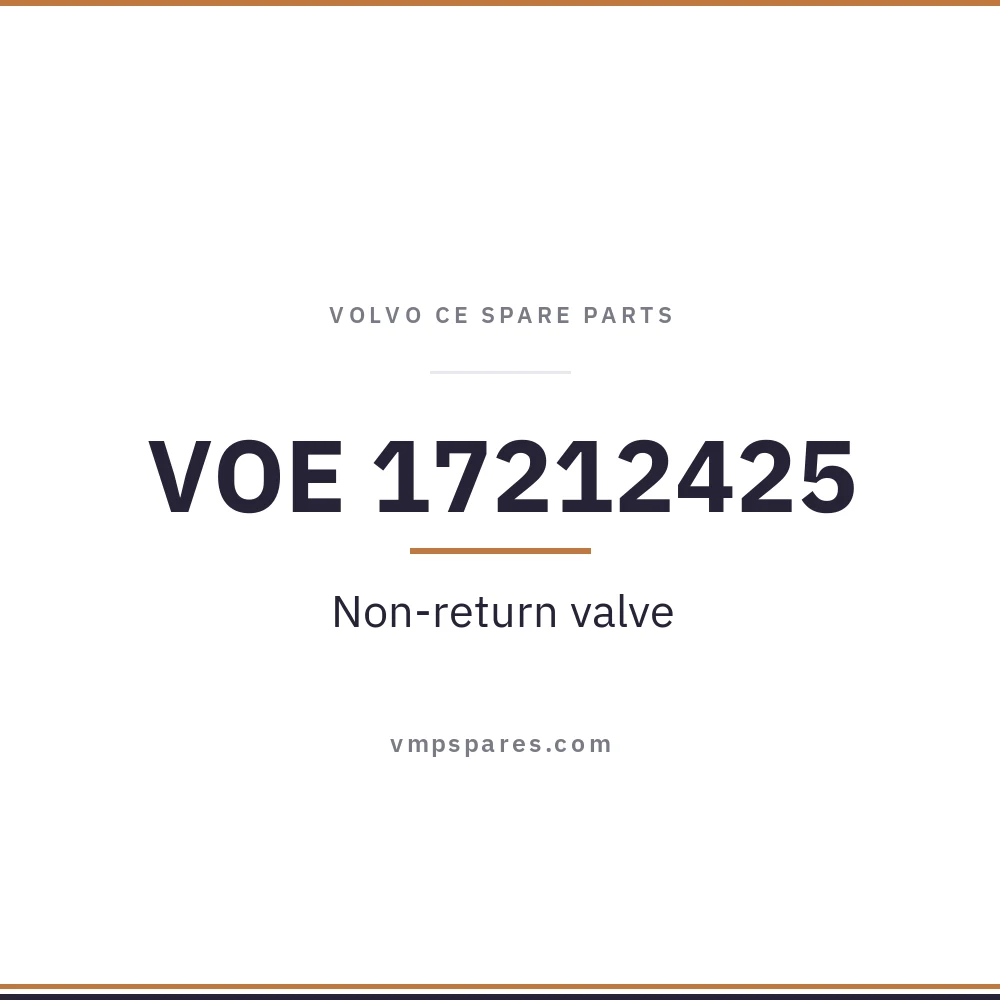 VOE 17212425 – Non-return valve