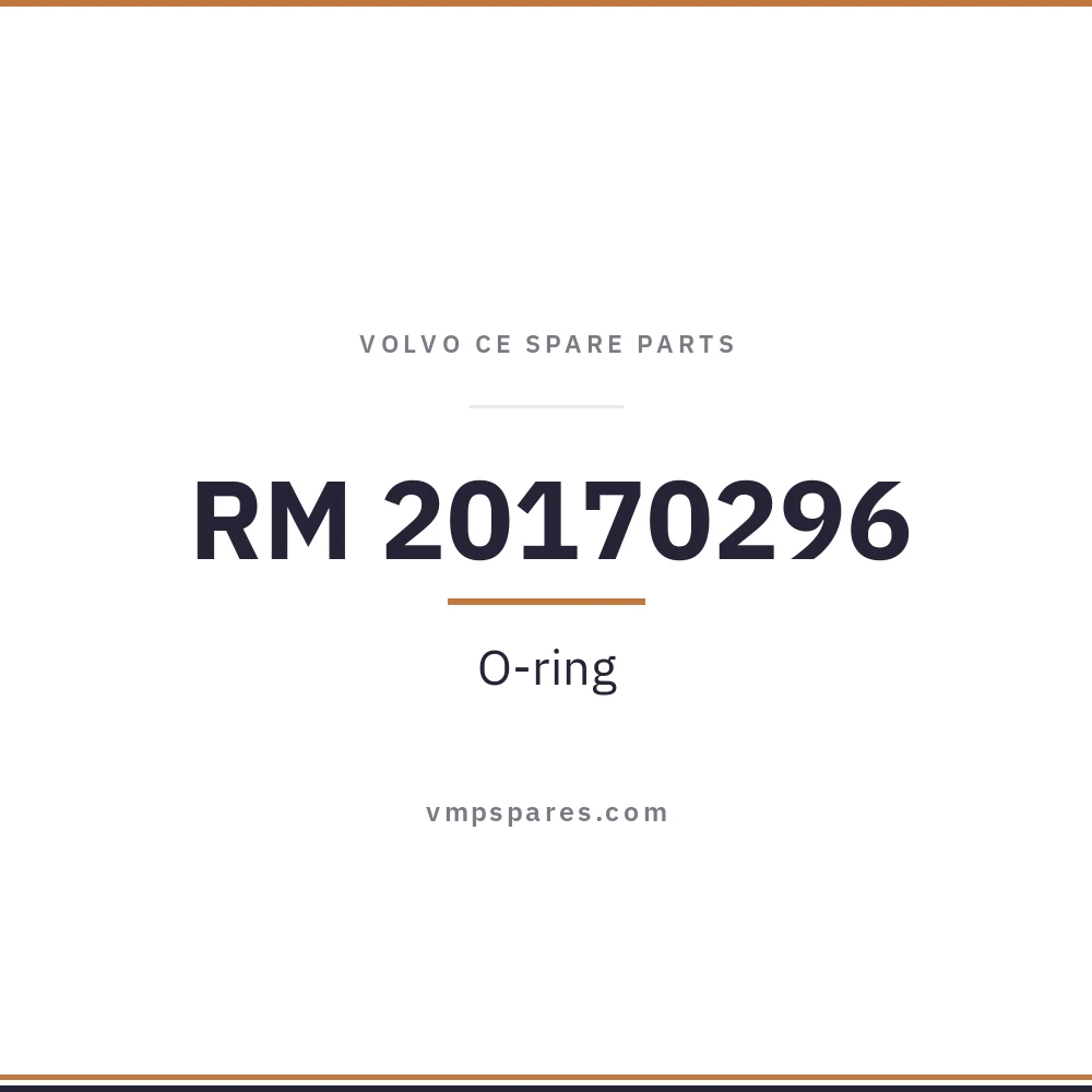 RM 20170296 – O-ring