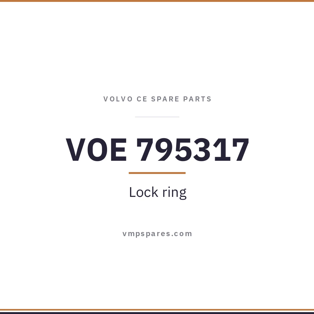 VOE 795317 – Lock ring