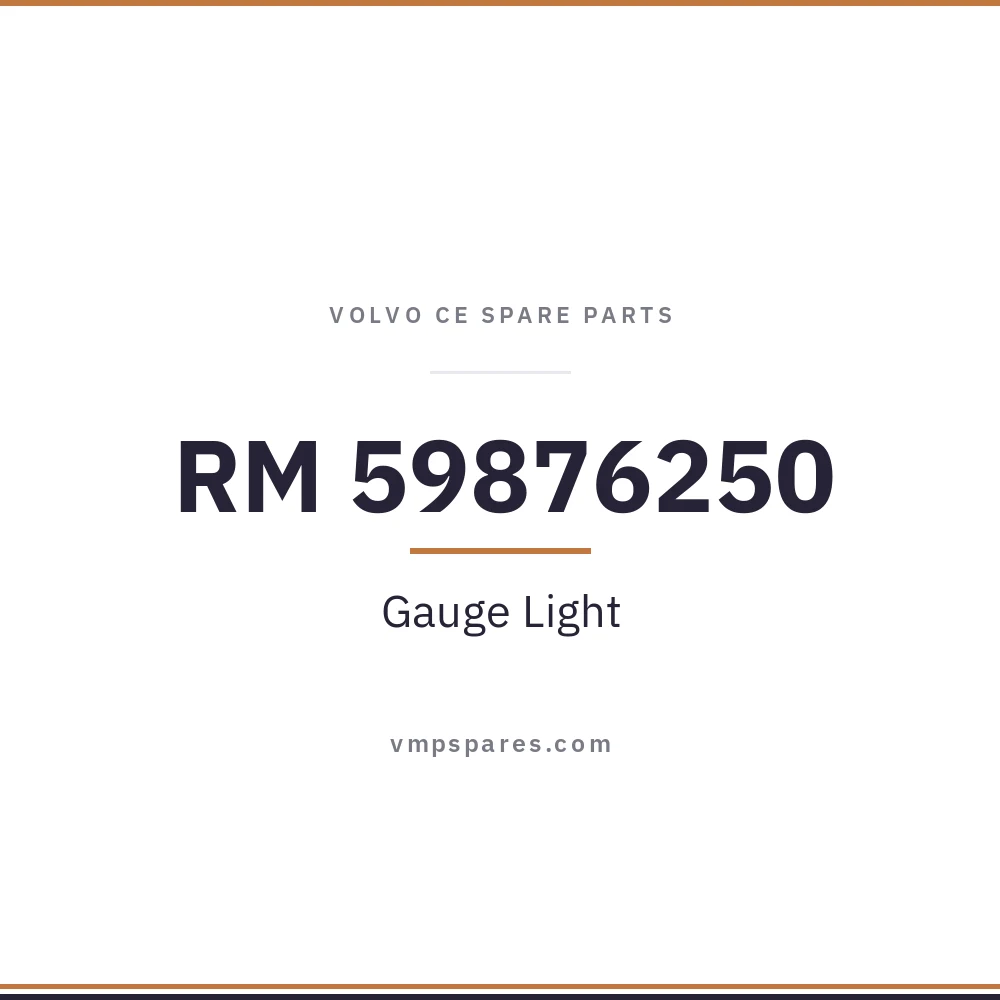 RM 59876250 – Gauge Light
