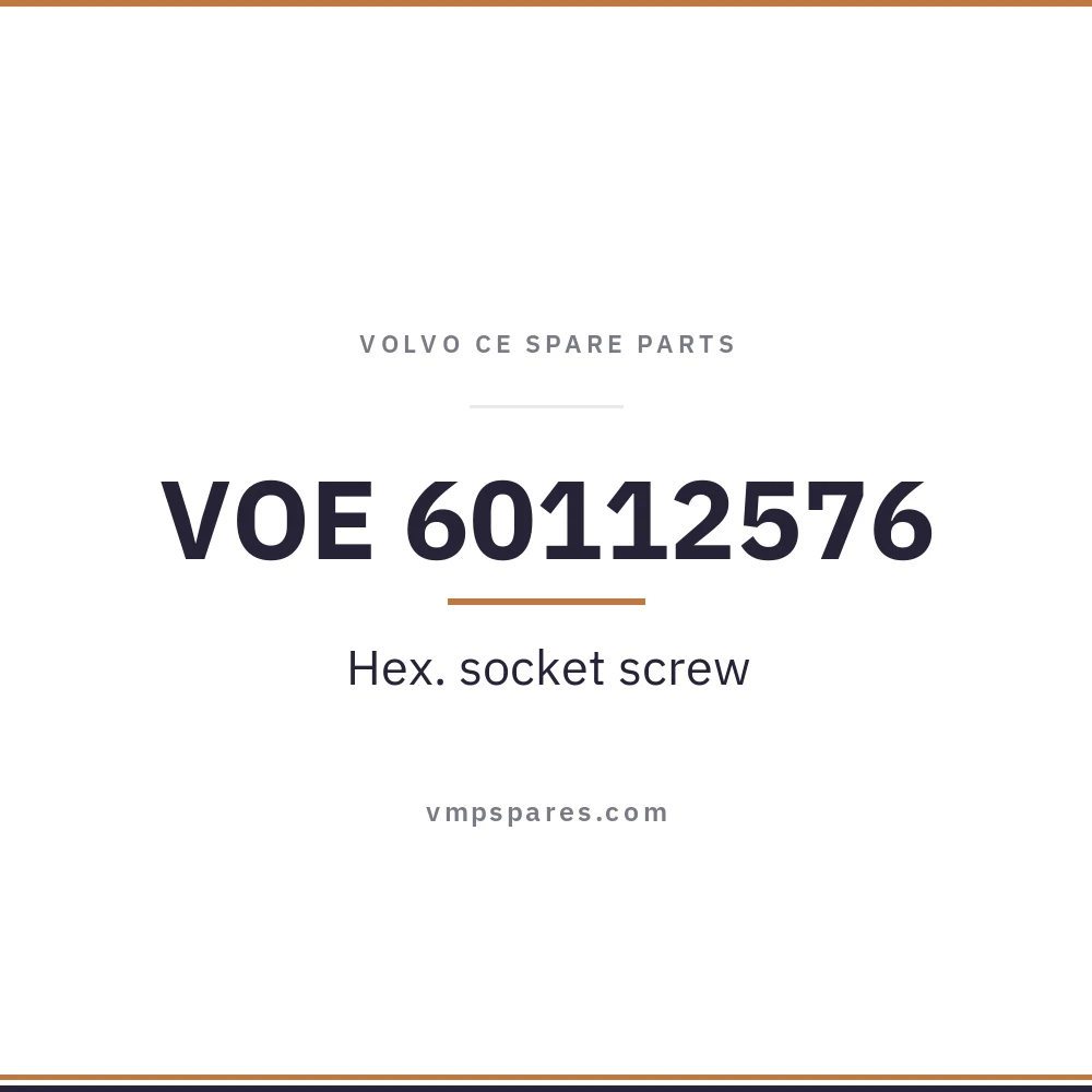 VOE 60112576 – Hex. socket screw