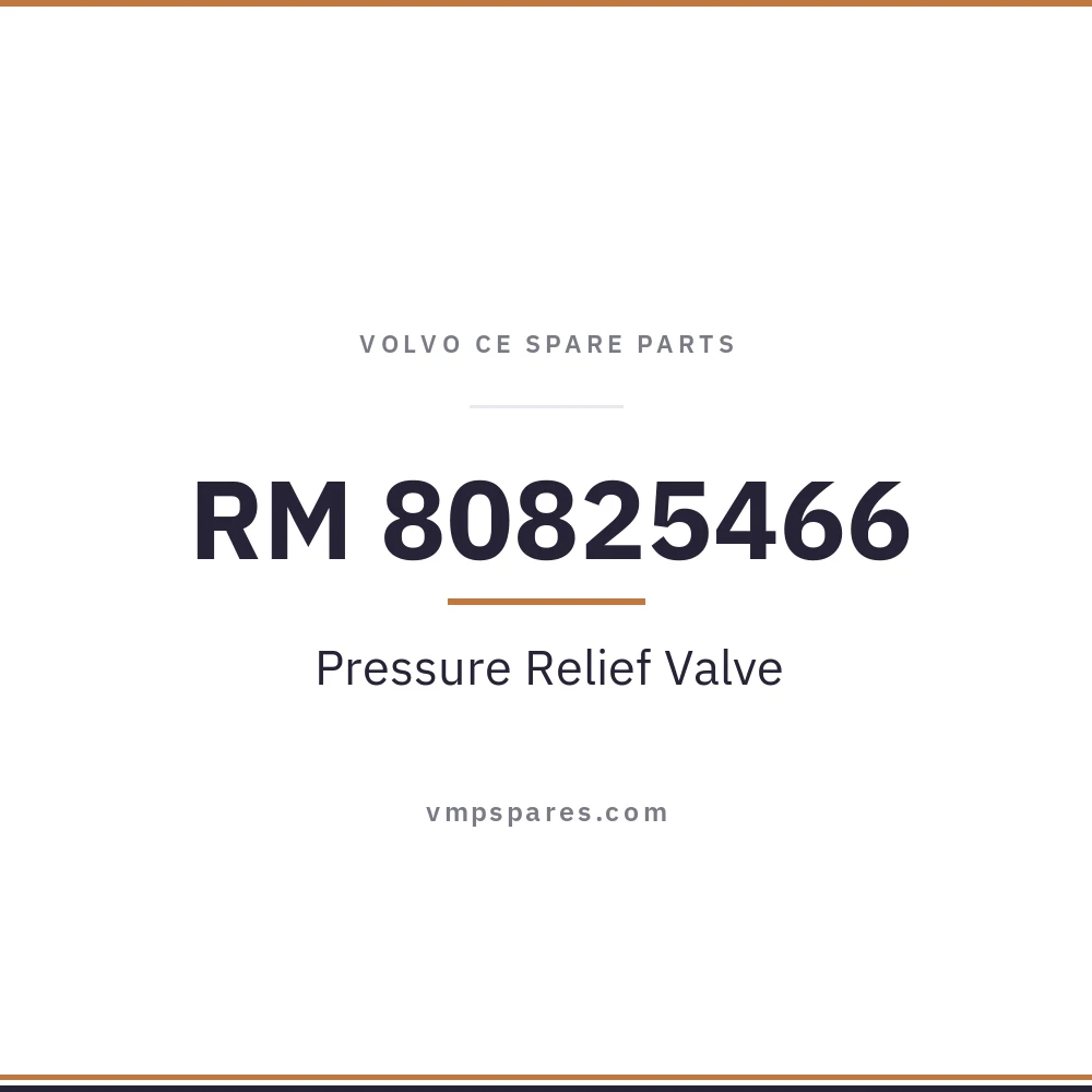 RM 80825466 – Pressure Relief Valve