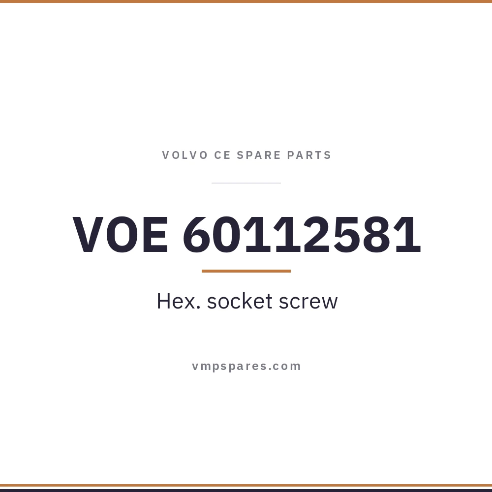 VOE 60112581 – Hex. socket screw
