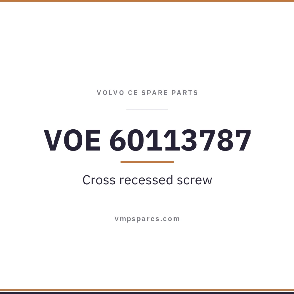 VOE 60113787 – Cross recessed screw