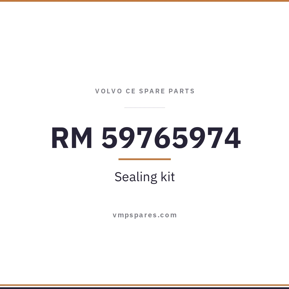 RM 59765974 – Sealing kit
