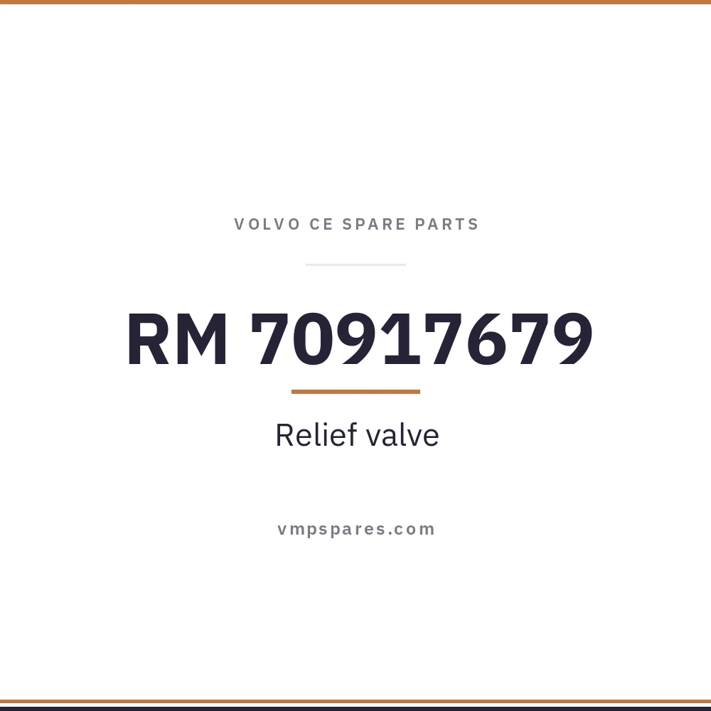 RM 70917679 – Relief valve