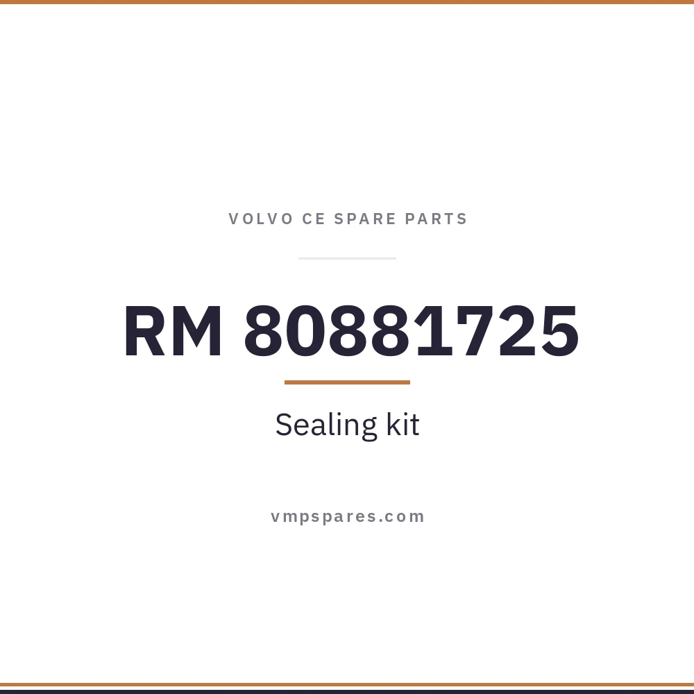 RM 80881725 – Sealing kit