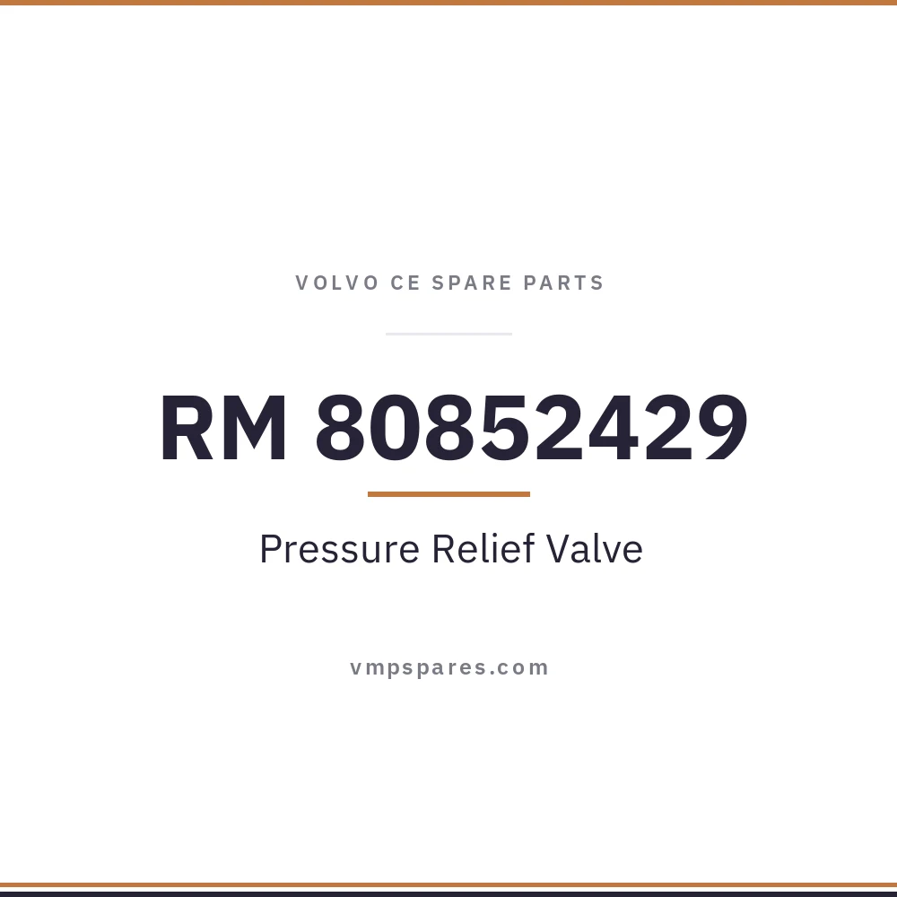 RM 80852429 – Pressure Relief Valve