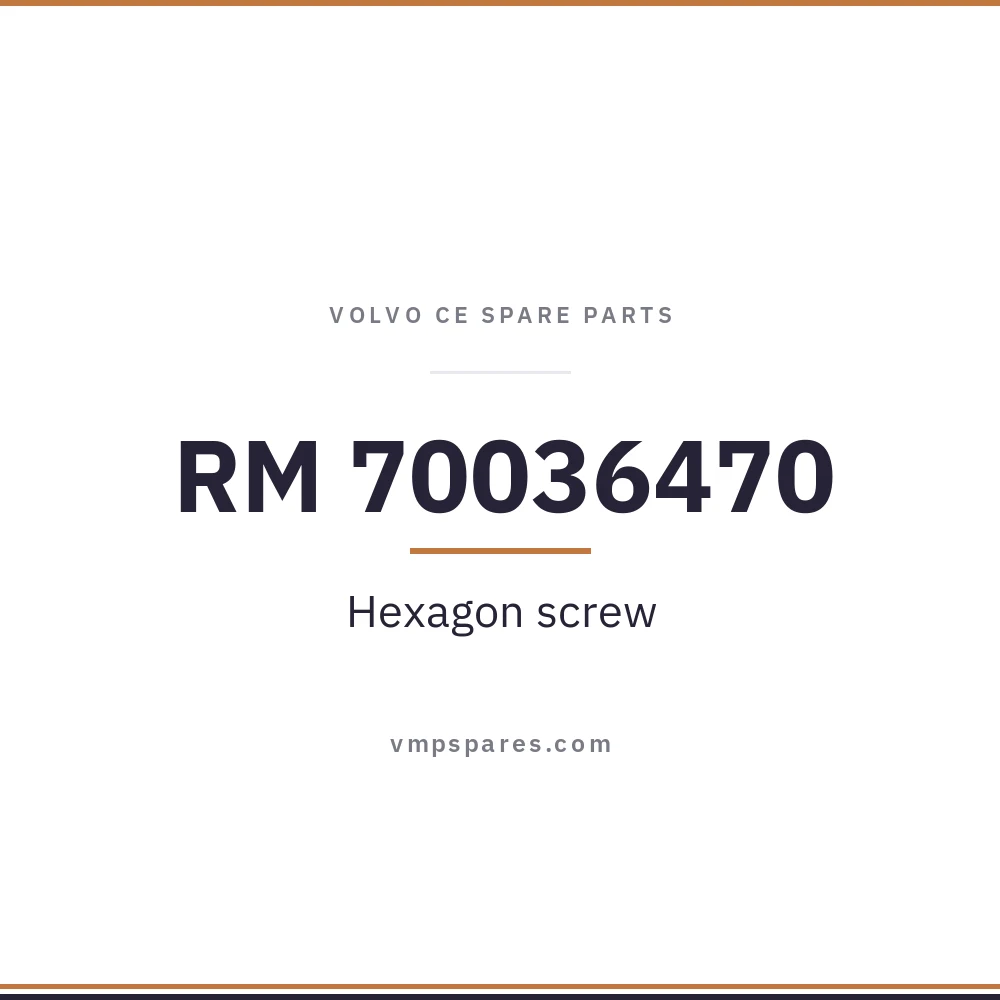 RM 70036470 – Hexagon screw