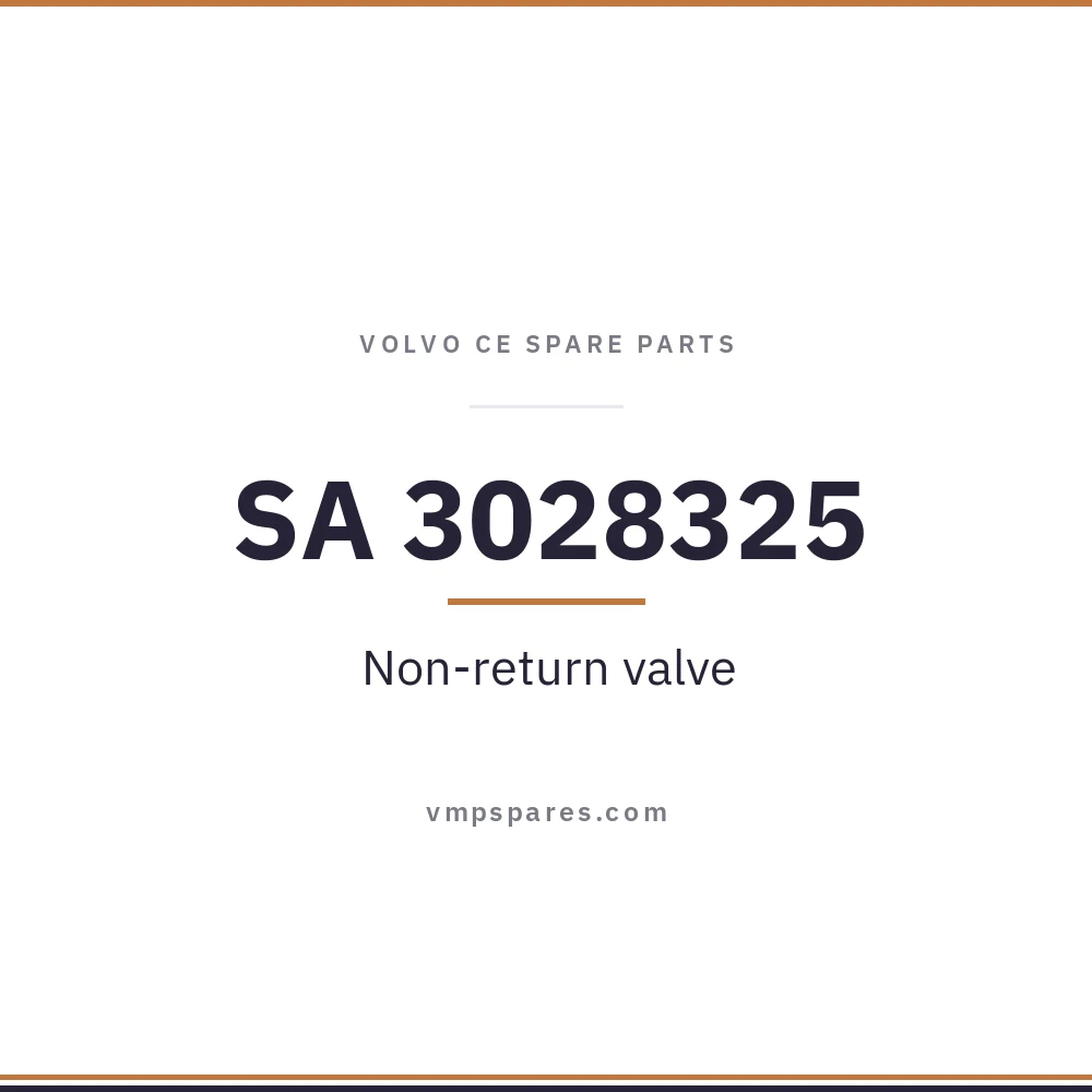 SA 3028325 – Non-return valve