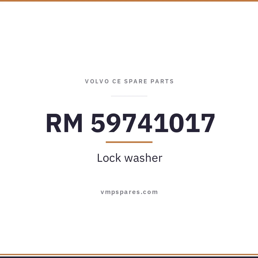 RM 59741017 – Lock washer