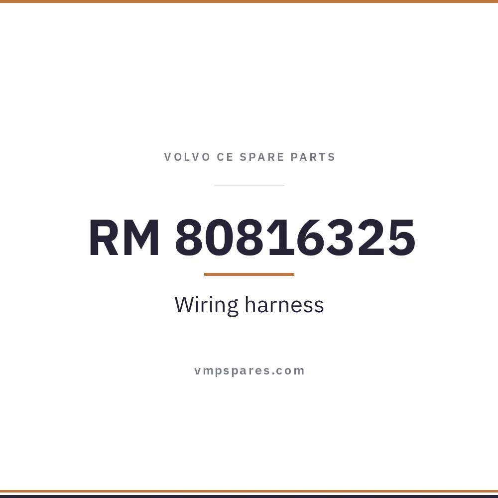 RM 80816325 – Wiring harness