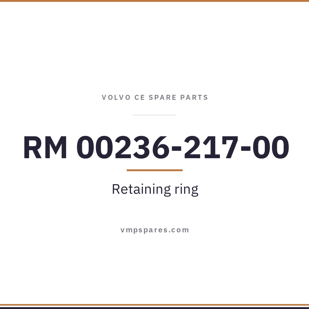 RM 00236-217-00 – Retaining ring