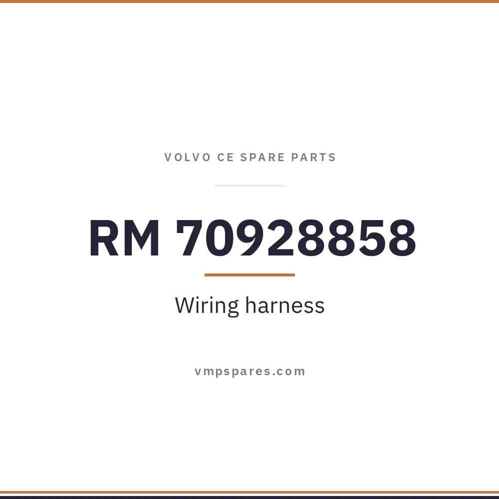 RM 70928858 – Wiring harness