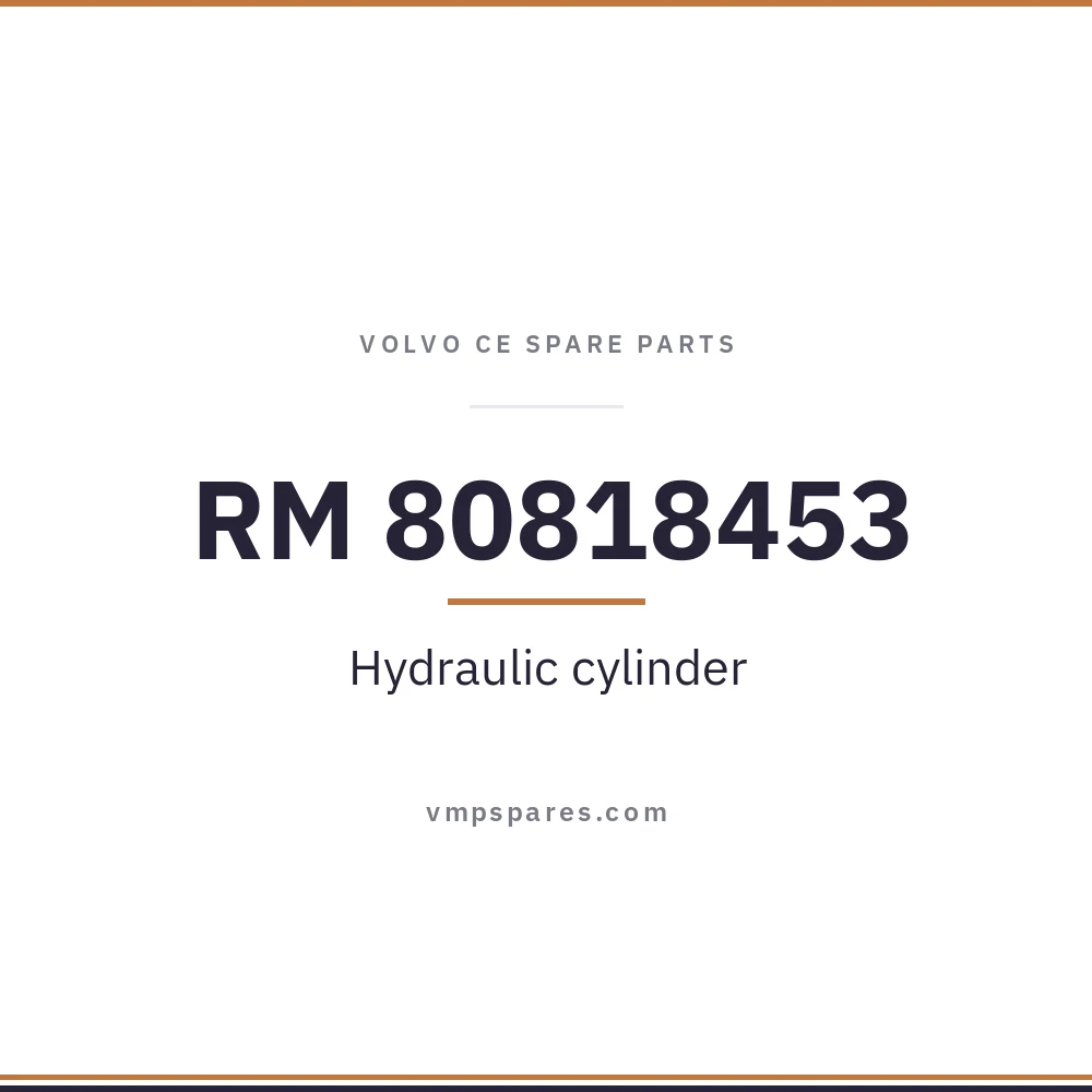 RM 80818453 – Hydraulic cylinder