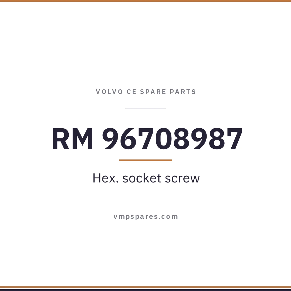 RM 96708987 – Hex. socket screw