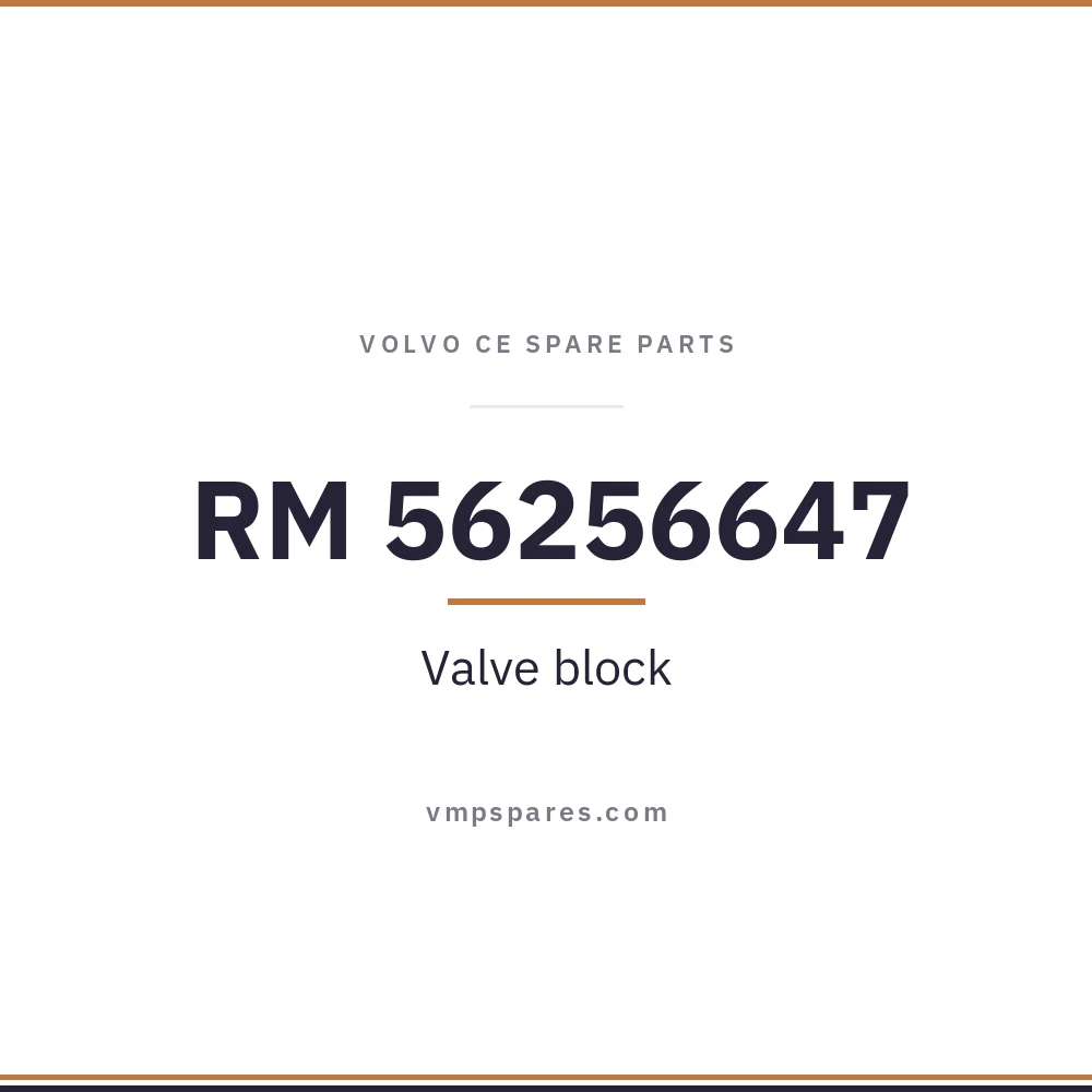 RM 56256647 – Valve block