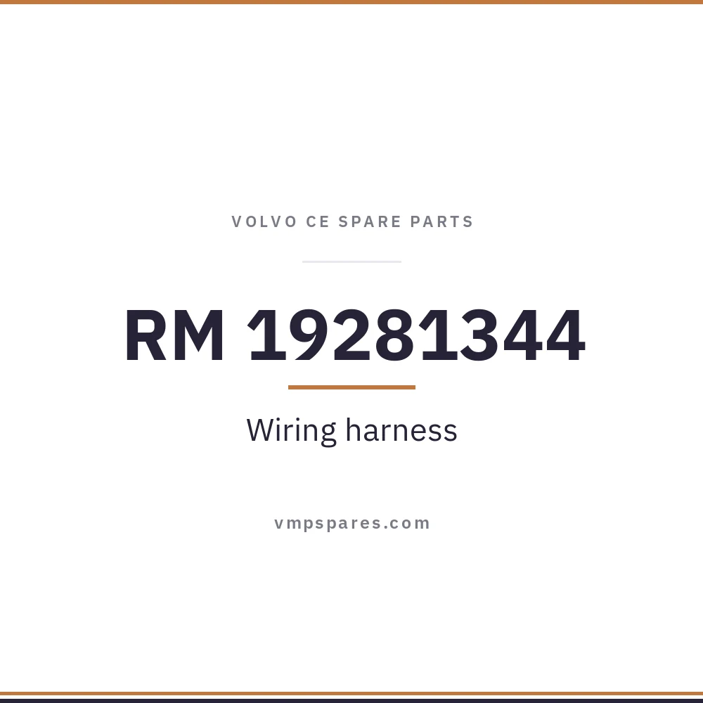 RM 19281344 – Wiring harness