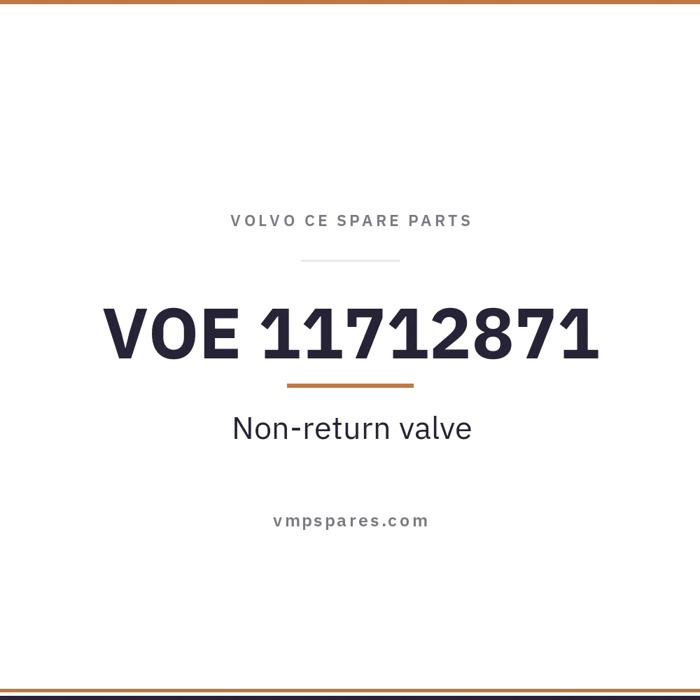 VOE 11712871 – Non-return valve