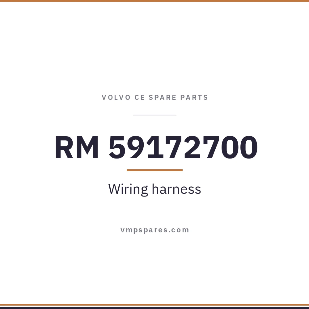 RM 59172700 – Wiring harness