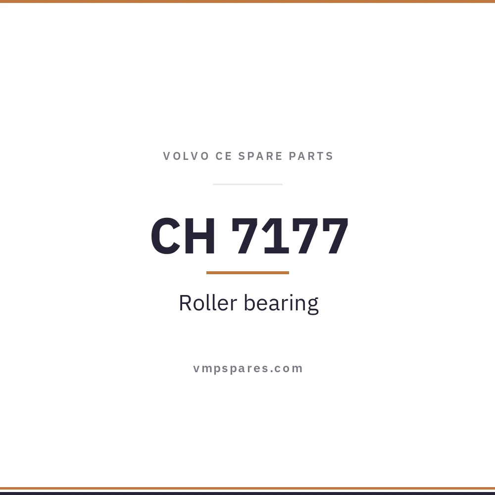 CH 7177 – Roller bearing