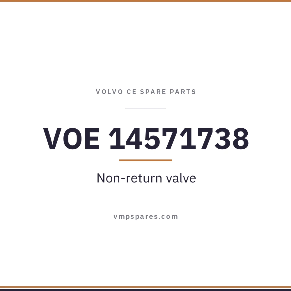 VOE 14571738 – Non-return valve