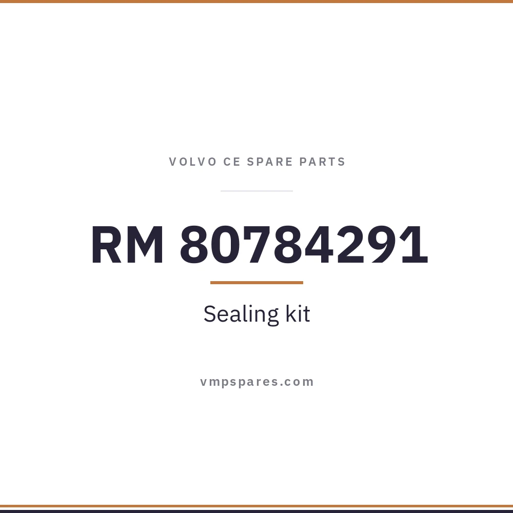 RM 80784291 – Sealing kit