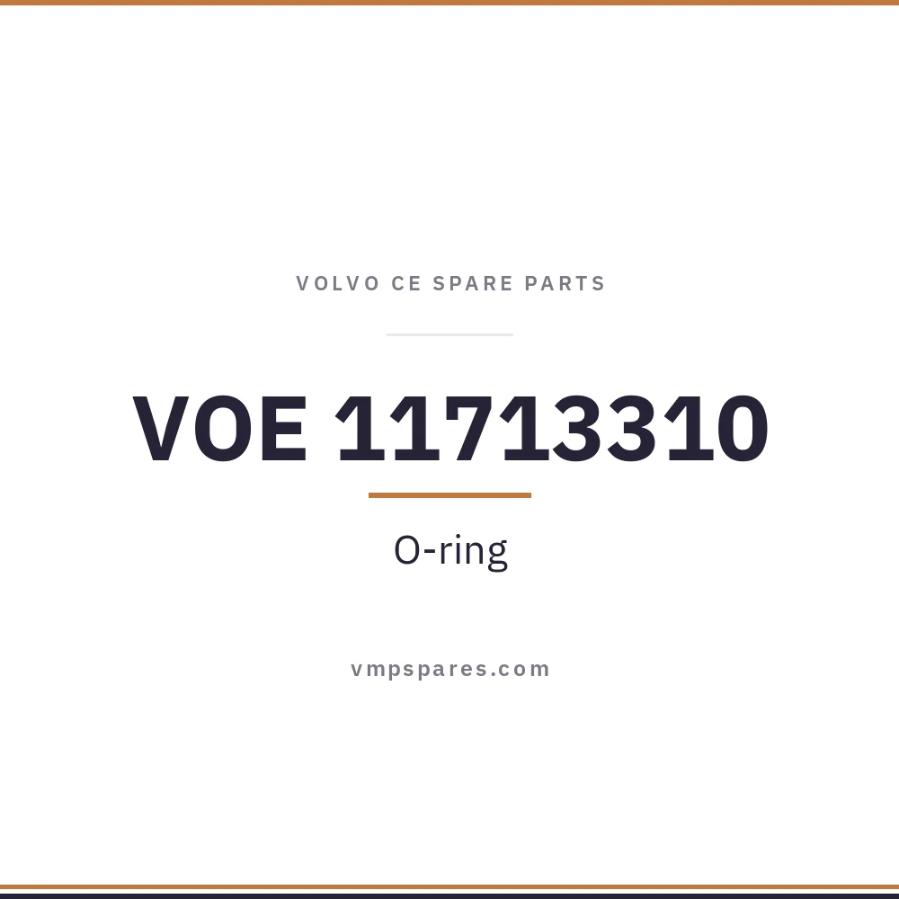 VOE 11713310 – O-ring
