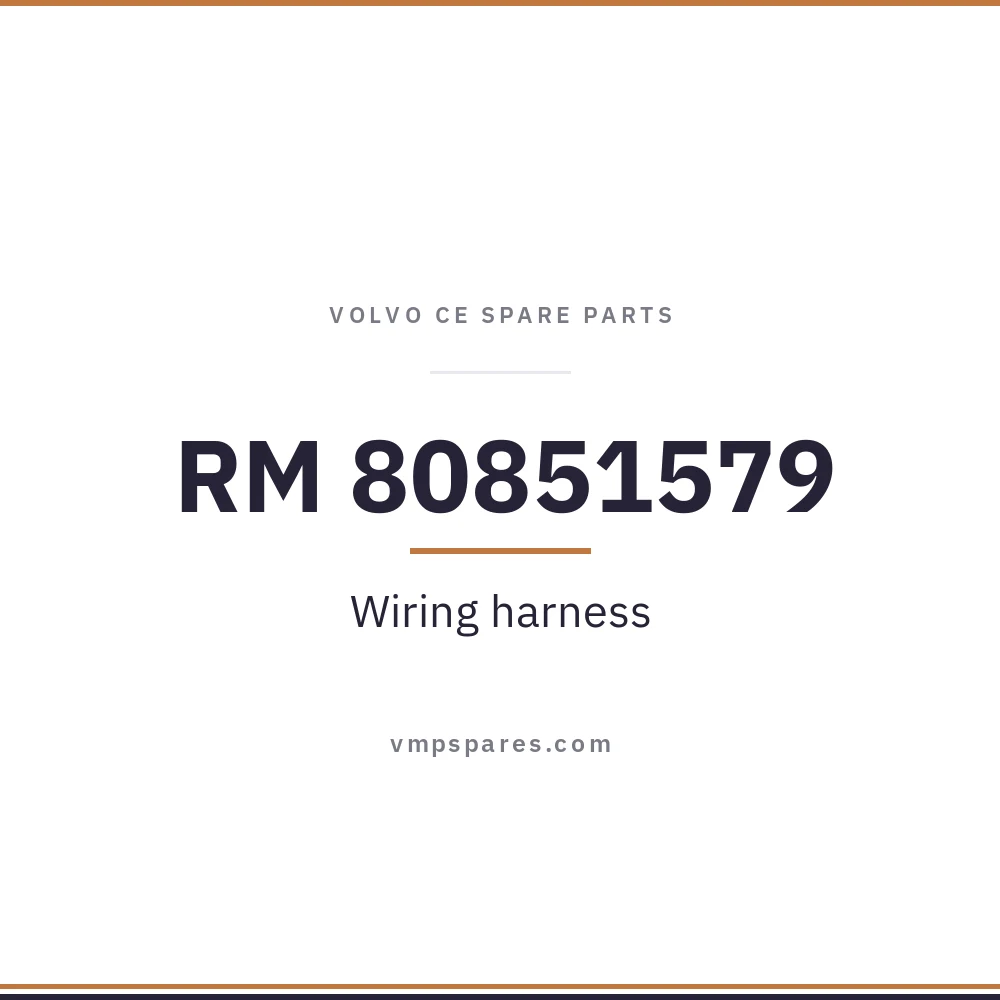 RM 80851579 – Wiring harness