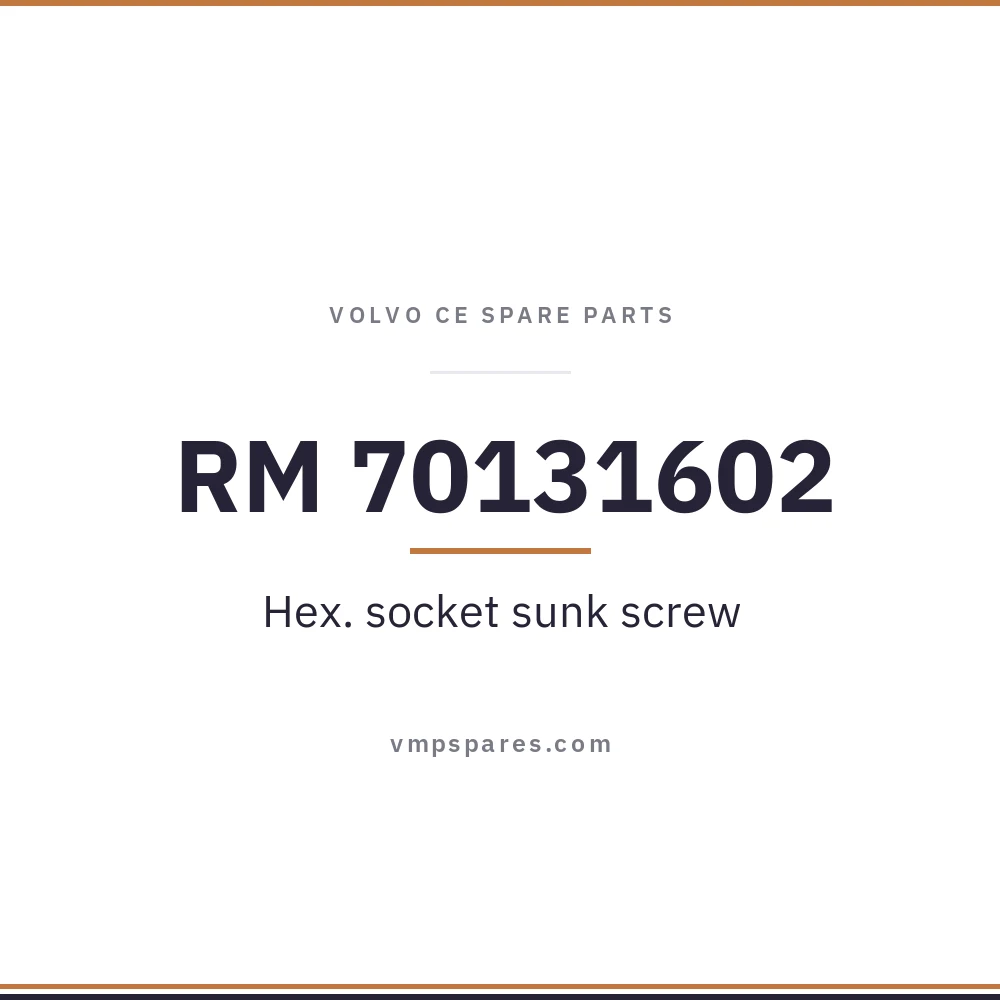 RM 70131602 – Hex. socket sunk screw