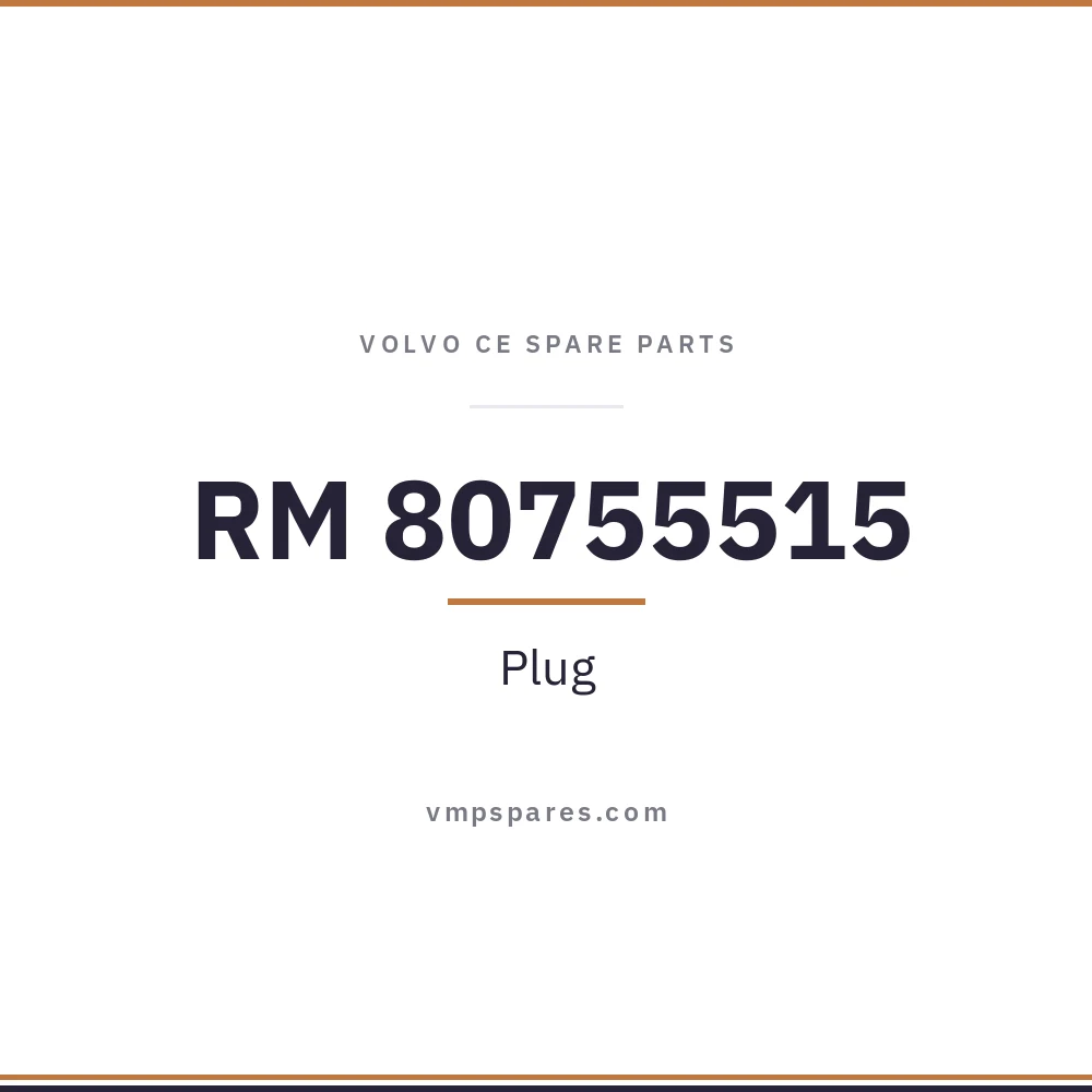 RM 80755515 – Plug