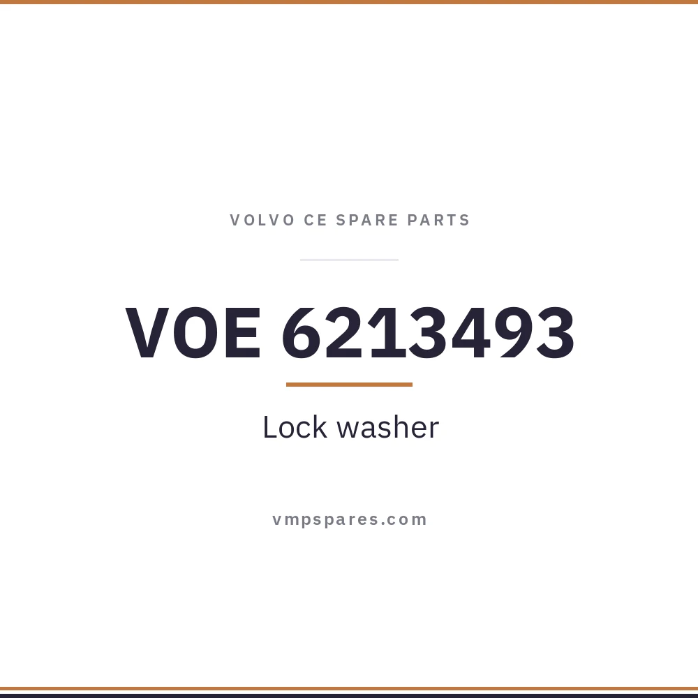 VOE 6213493 – Lock washer