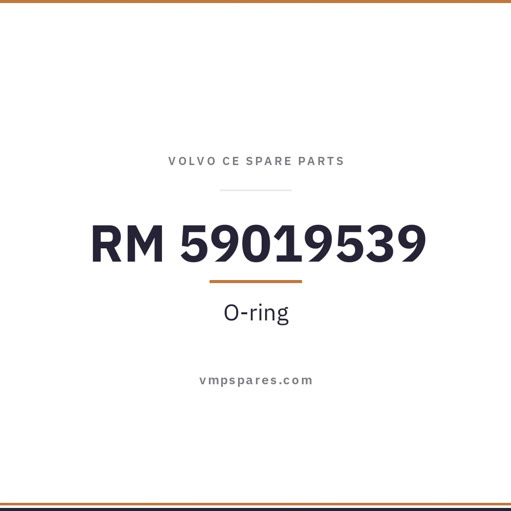 RM 59019539 – O-ring